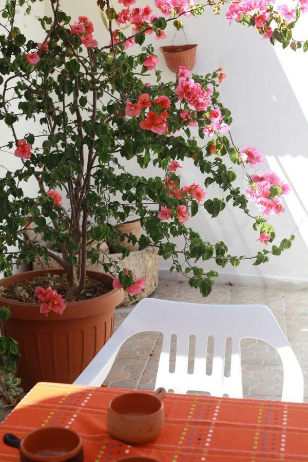 Bb Dragonetti Holiday Home Salento Manduria Dış mekan fotoğraf